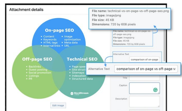 谷歌SEO：2022 年页面 SEO 的完整可视化指南(图5)