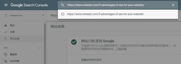 21种让谷歌快速索引和收录网页的方法和指南(图5)